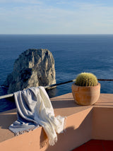 Travel Blanket "Light Companion" of cashmere and merino "Color Blocks Grey White"