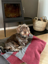 Hundedecke mit Streifenmuster in Grau Rot und quadratisch aus Merino gewebt für Haustiere als Kuscheldecke im Hundebett oder Sofa und auf Reisen mit Nachhaltigkeit und als das perfekte Geschenk für Hundeliebhaber und Gaskrise bei Energie Sparen beim Heizen im kalten Winter Shop in Berlin