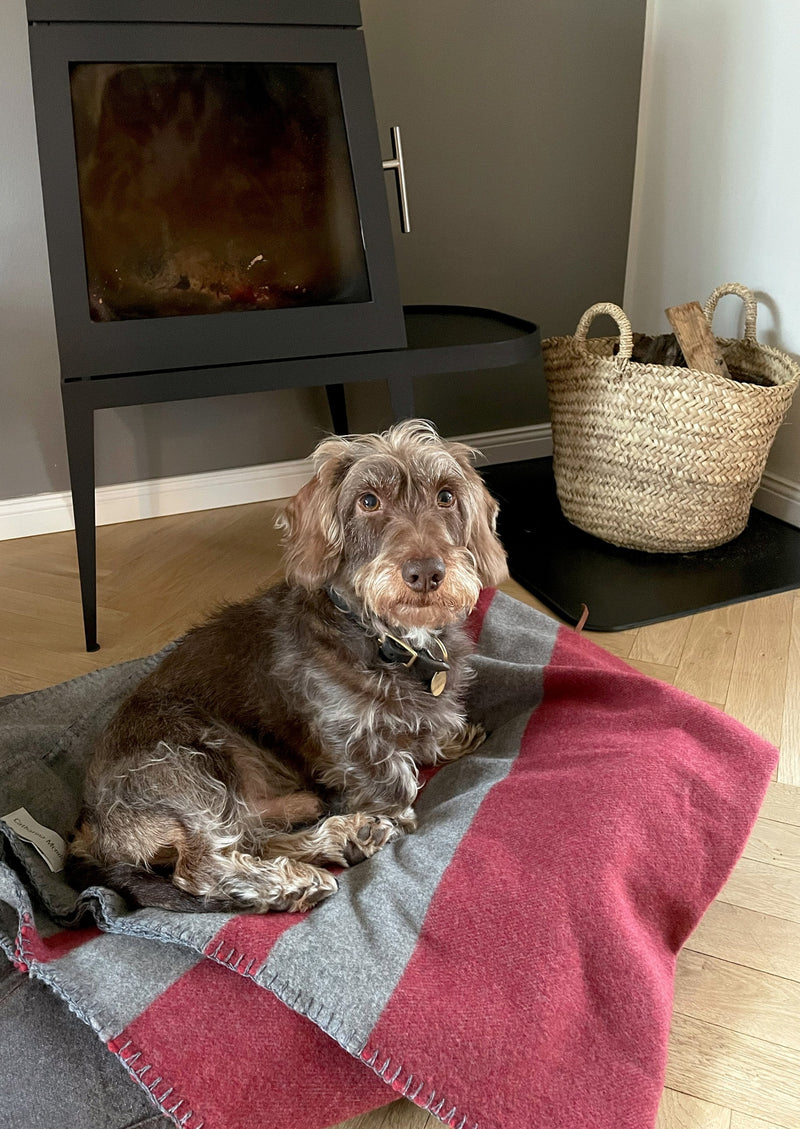 Hundedecke mit Streifenmuster in Grau Rot und quadratisch aus Merino gewebt für Haustiere als Kuscheldecke im Hundebett oder Sofa und auf Reisen mit Nachhaltigkeit und als das perfekte Geschenk für Hundeliebhaber und Gaskrise bei Energie Sparen beim Heizen im kalten Winter